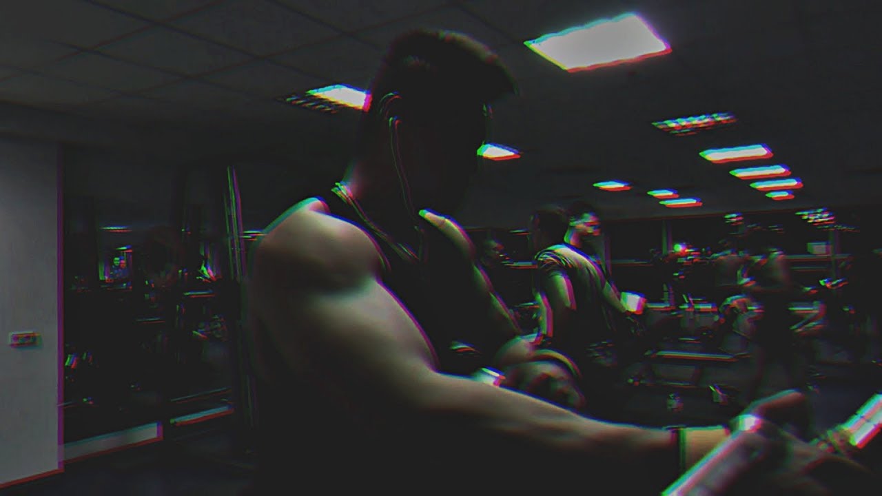 Back Workout Highlights w/ Mike Diez