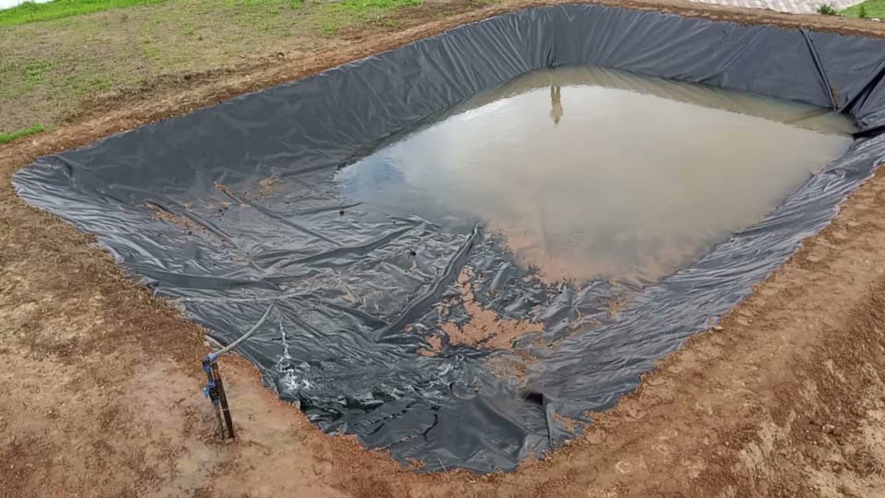 Backyard fish farming / Aquaculture with LADVILLE AQUATECH.