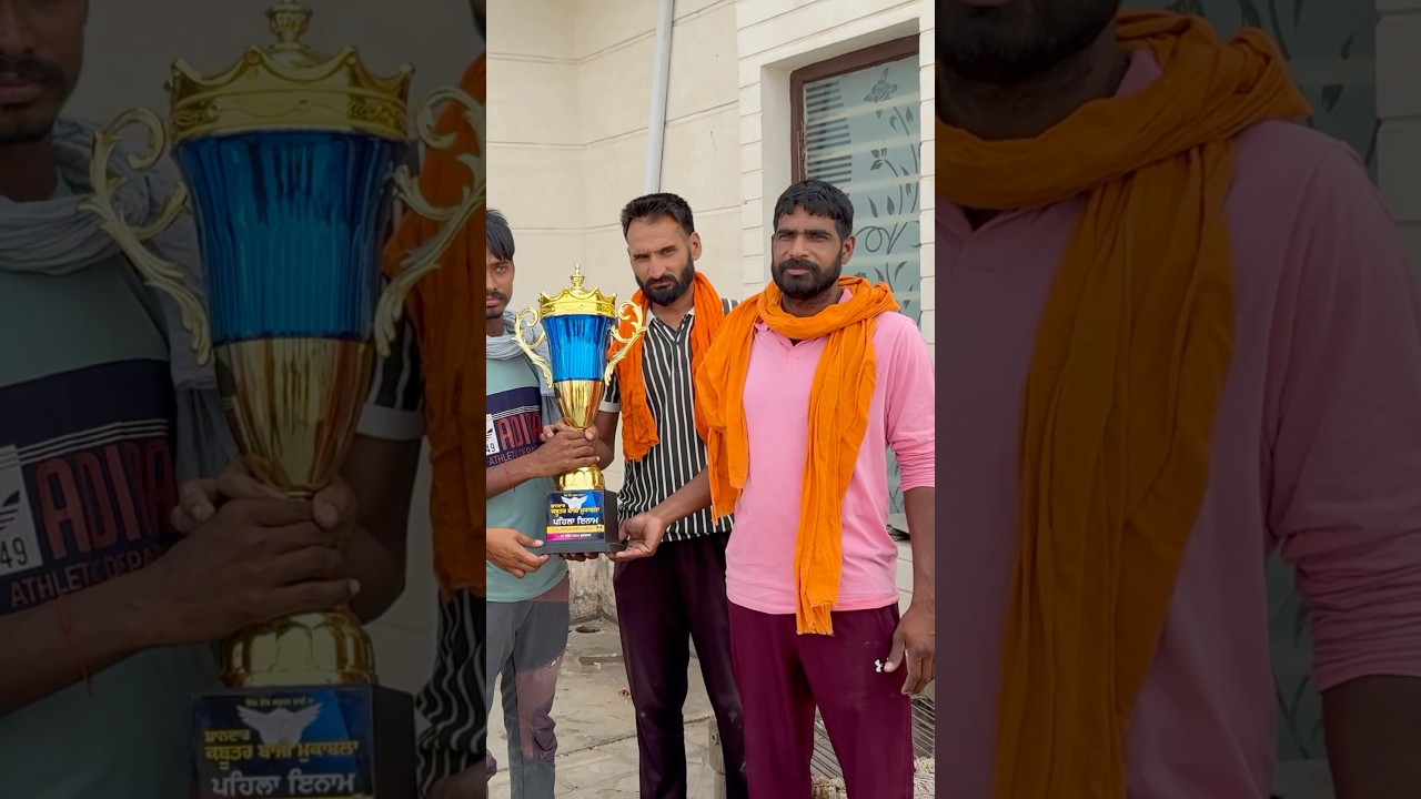 Bai Da Kla Kabootar Bazi Jitt Gya 🕊️🏆 #shorts #pigeon #kabootar #kabootarbazi #punjab