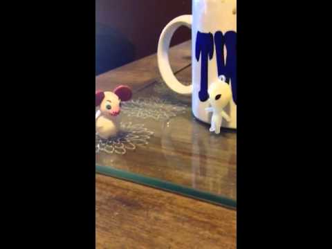 Bailey spots a mouse
