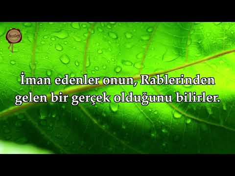 Bakara Suresi   İslam Subhi