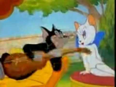 bakkaldan aldım bira kedili
