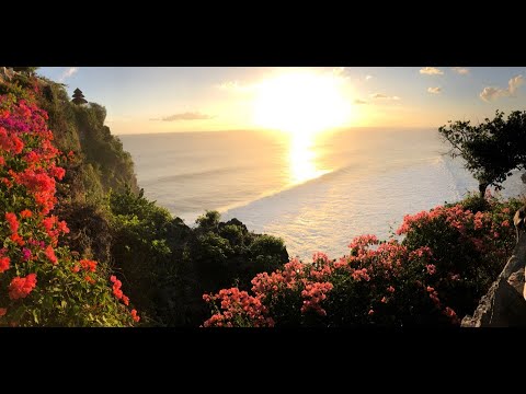 Bali 2019 - Gangsters paradise