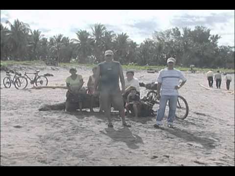 Ballena en playa Toluca.wmv