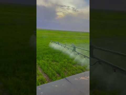 başımda bin türlü dertler var olur