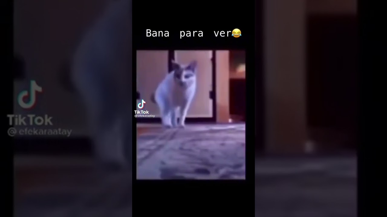 Bana para ver akımı