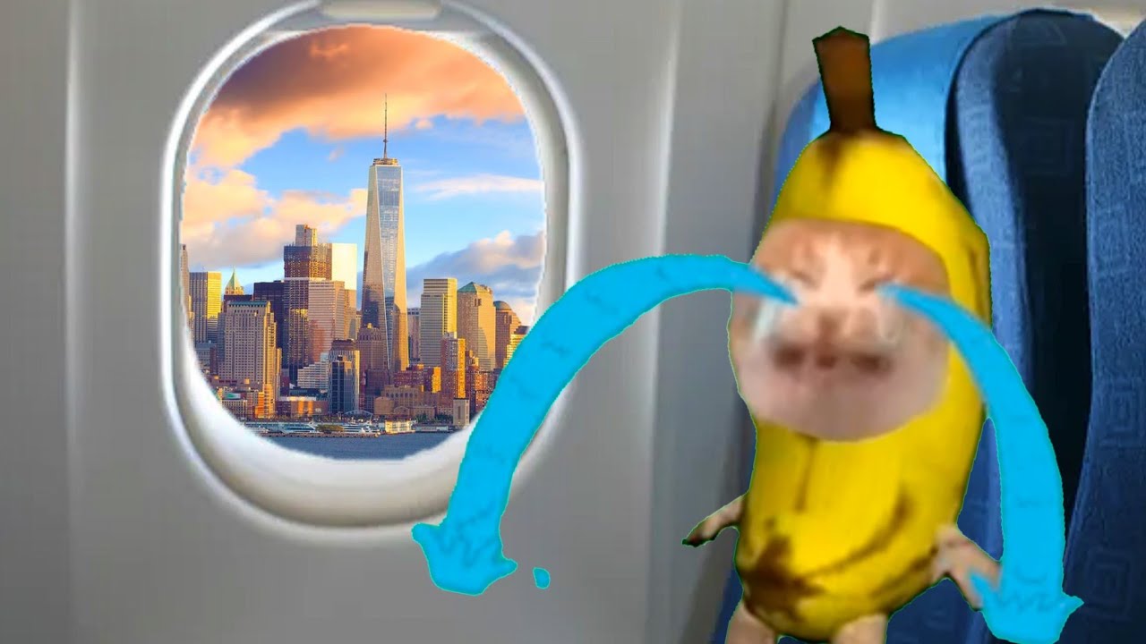 BANANA CAT 🍌🐱 HAPPY AND 😿 CRY ( 28 MINUTES ) VIDEOS 21 #catmemes #cat #bananacat #happycat #fyp