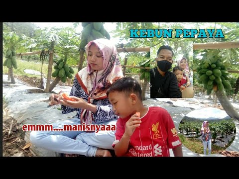 baper