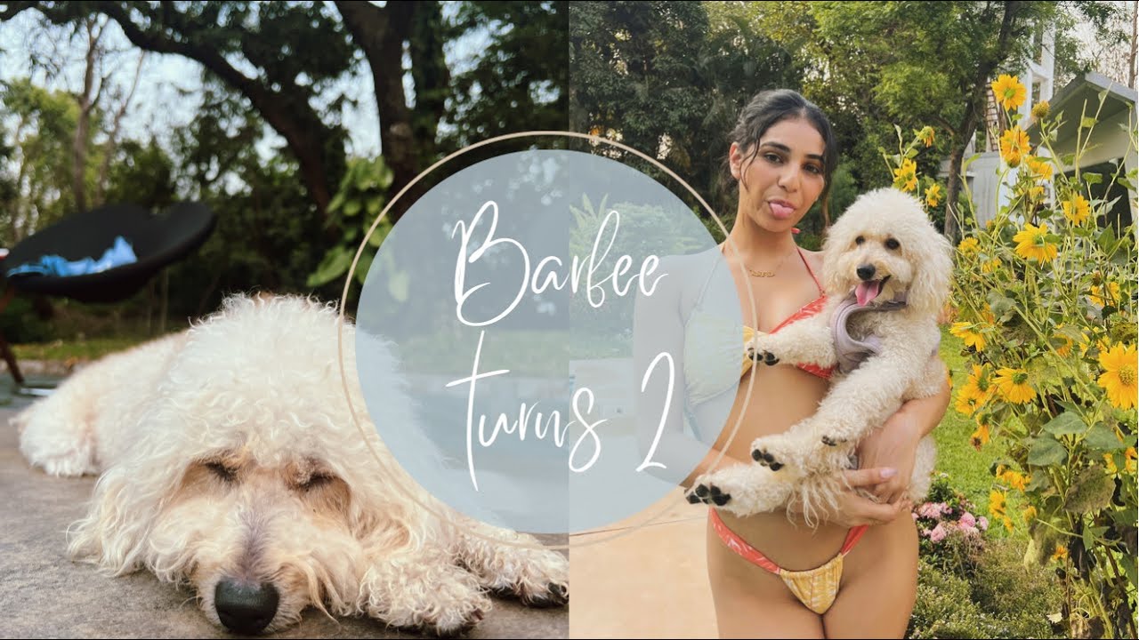 Barfee turns 2!!