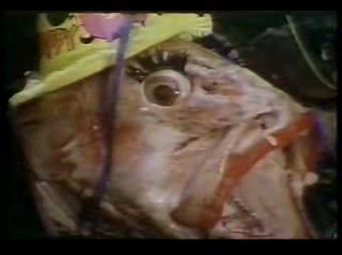 Barnes & Barnes - Fish Heads