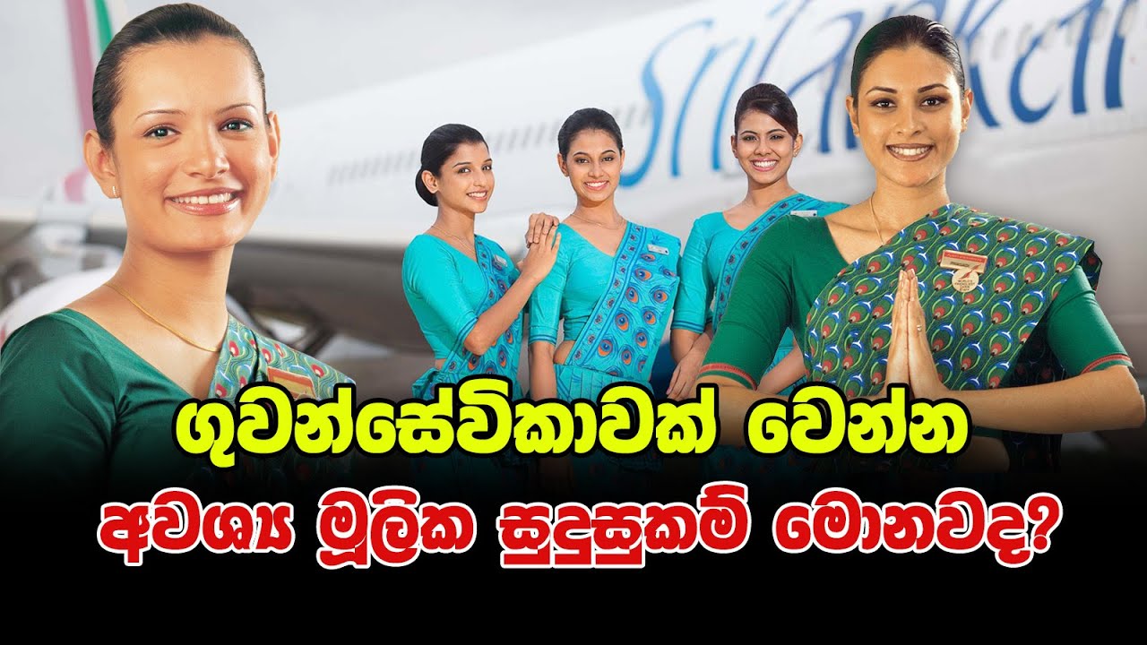 Basic Qualifications Required to Become an Air Hostess..