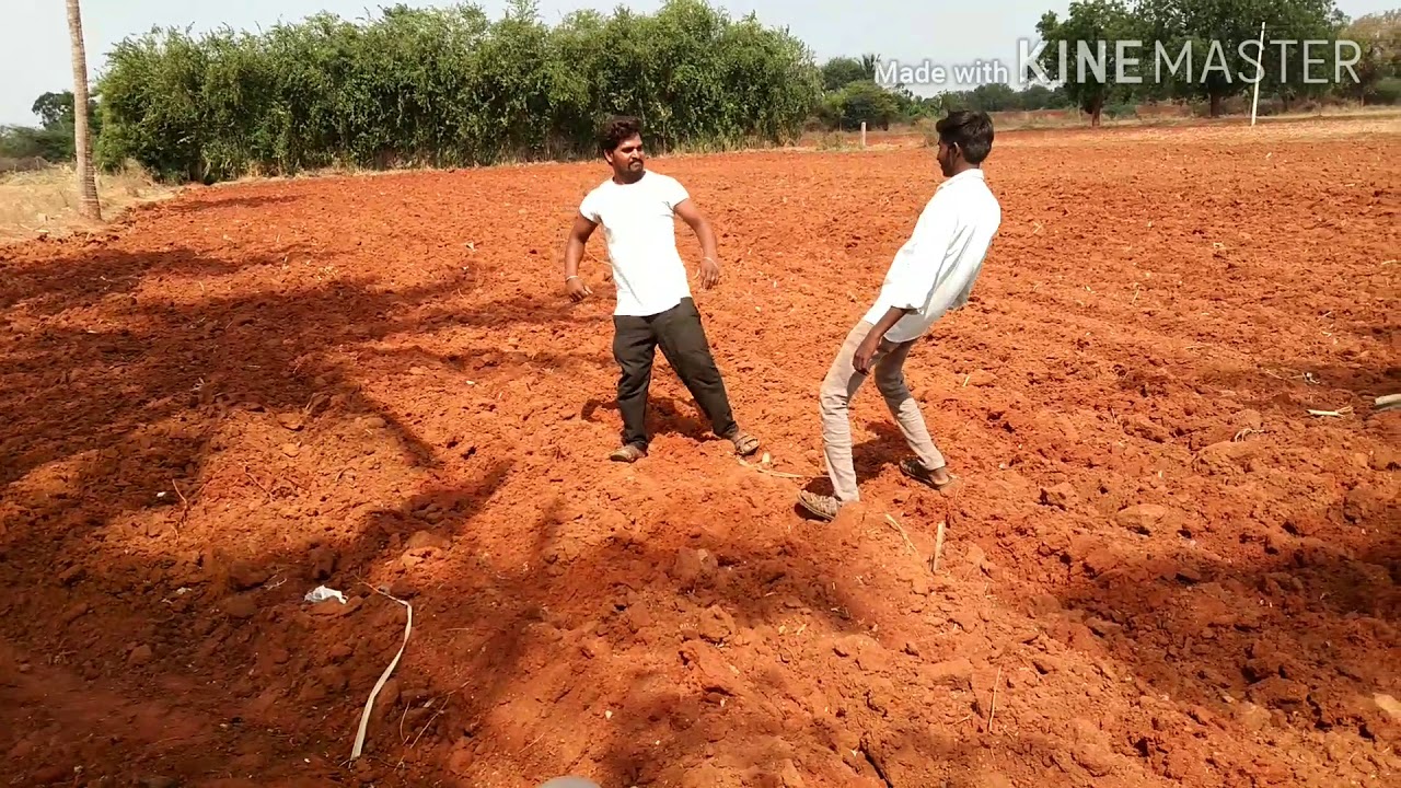 Basuva