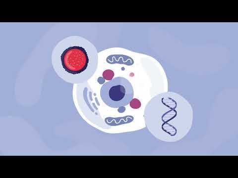 Batten Disease and Gene Therapy
