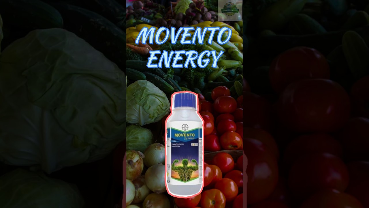 Bayer MOVENTO ENERGY Insecticide | Farm Frontier #bayer