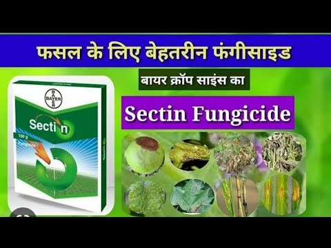 Bayer Sectin fungicide || best fungicide || Sectin