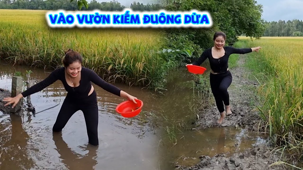 Bích Hương Đi Vào Vườn Kiếm Đuông Dừa Và Kết Quả