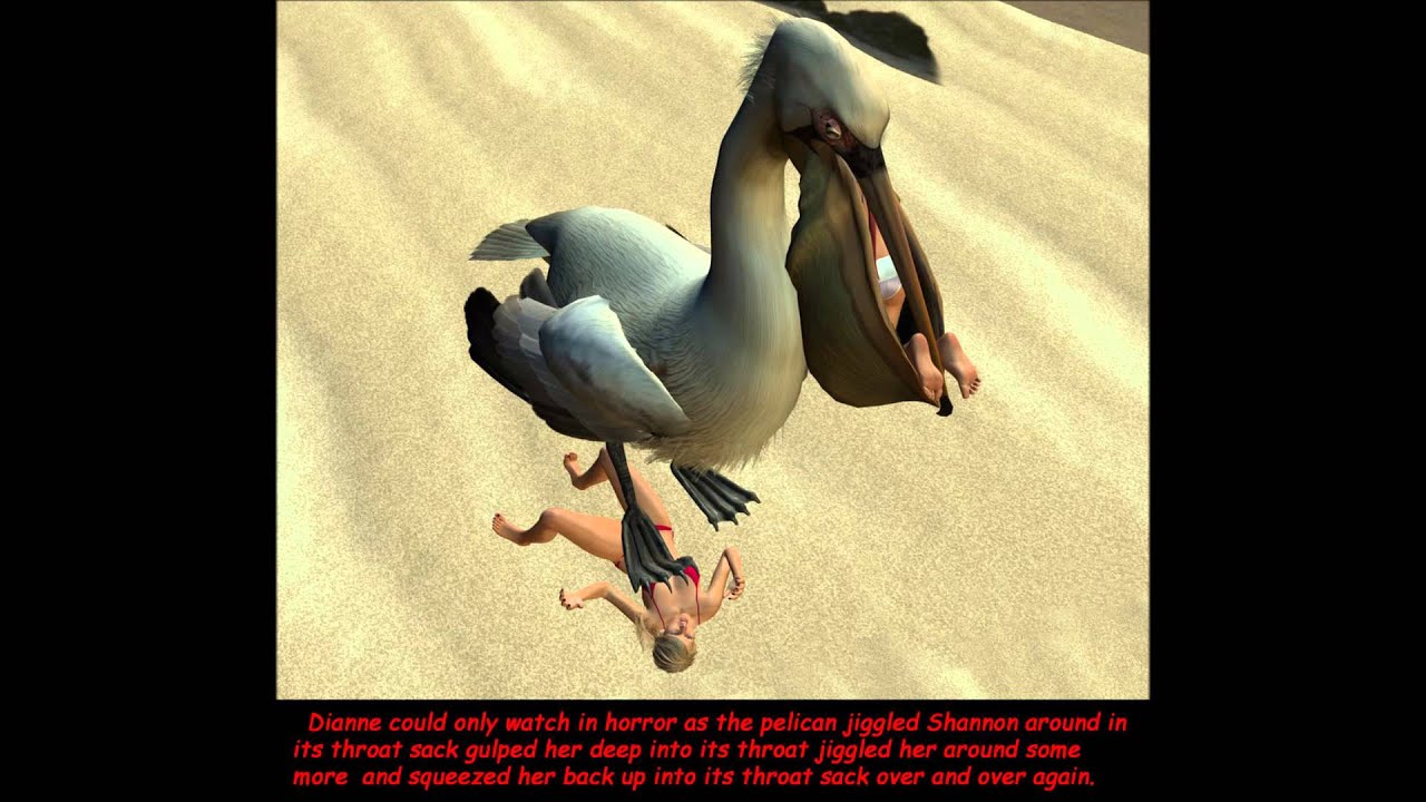 beach vore