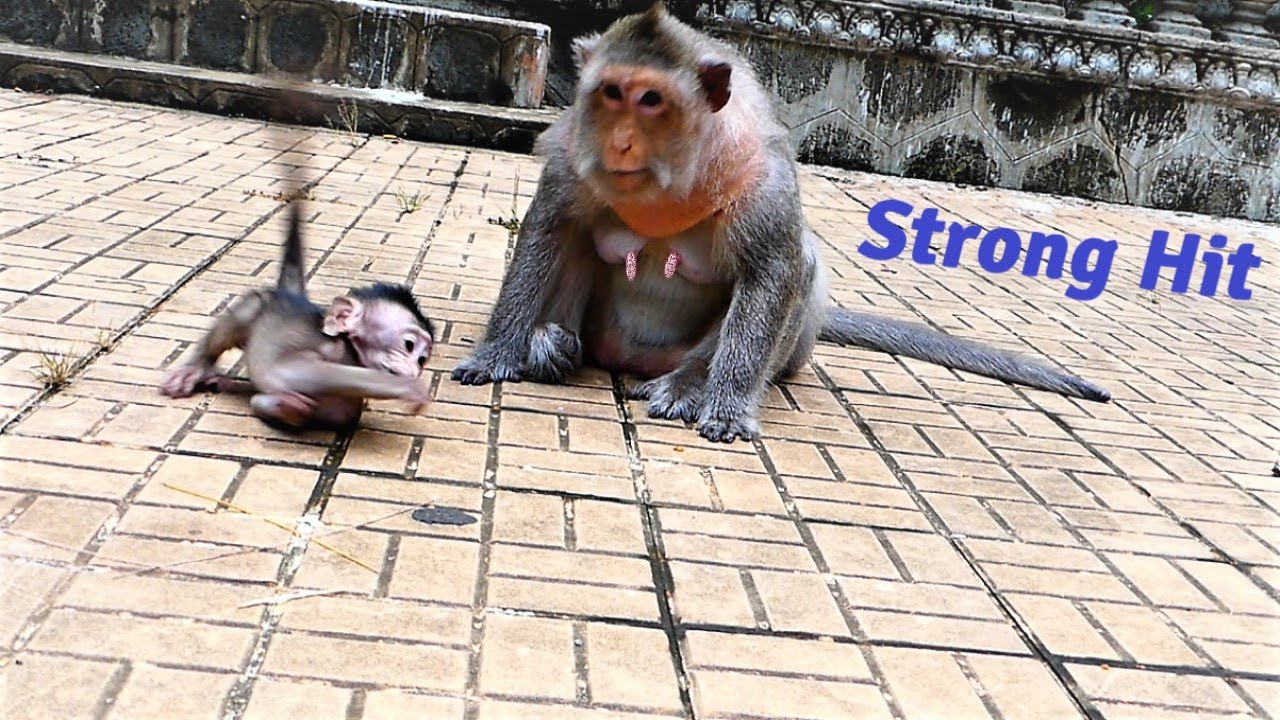 Bean Baby Strongly Reacts To Strong And Old Mama Till Slapping One Raid Hand Rolling On The Floor