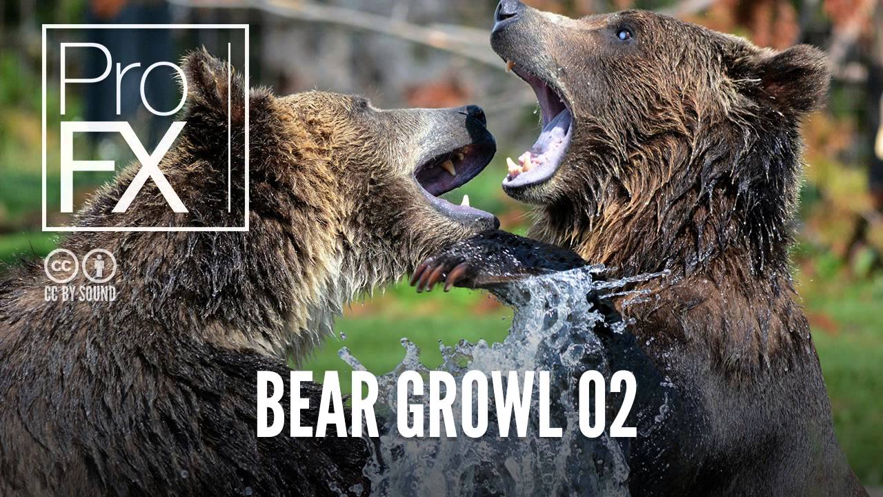 Bear Growl 02 | Animal Sound Effects | ProFX (Sound, Sound Effects, Free Sound Effects)