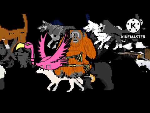 bears wolves monkeys and ostrich collecion kids pucture show