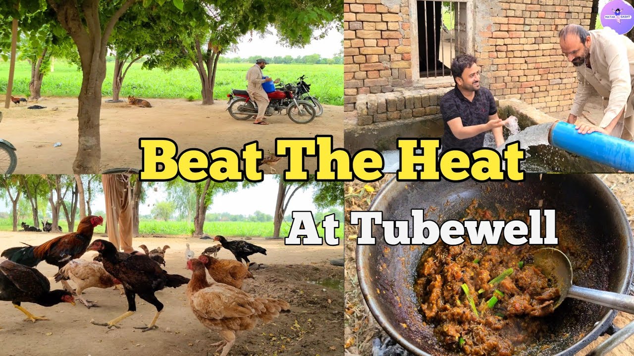 Beat The Heat At Tubewell || Rural Life Punjab