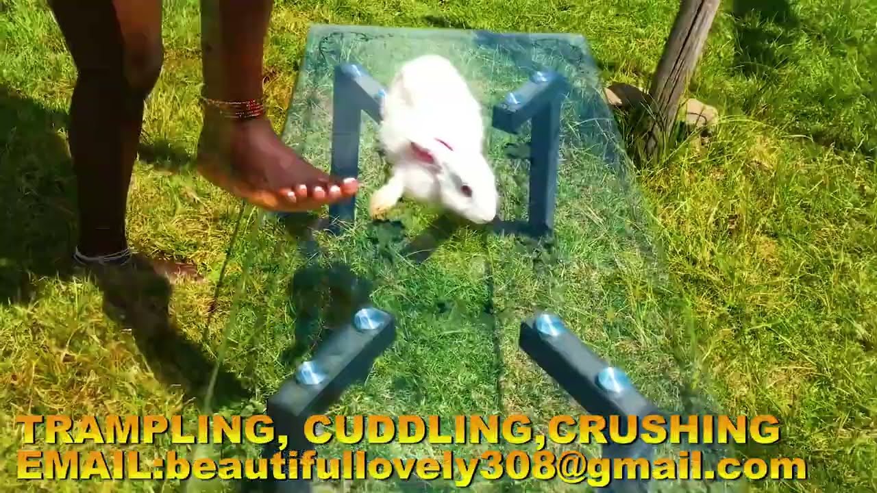 Beautiful Feet Asmr//playing with rabbit on a glass table#trampoline #crush #crash #asmr