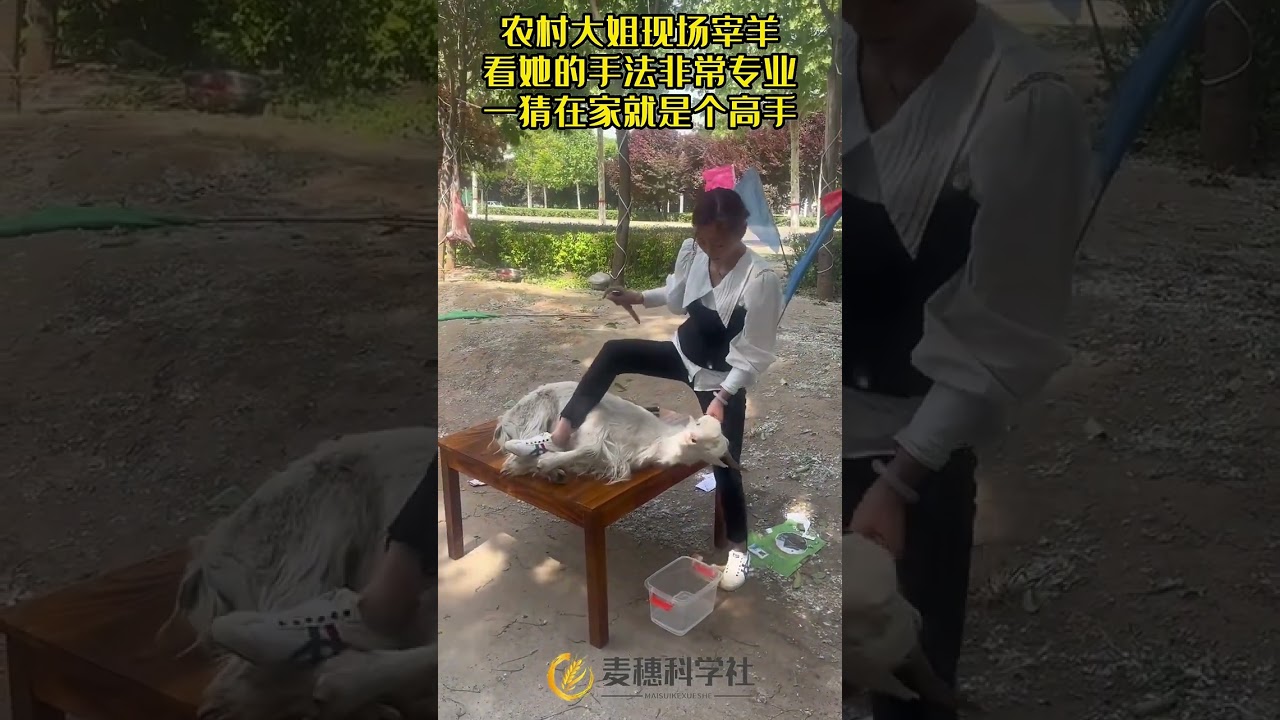 Beautiful girl slaughtering slaughter