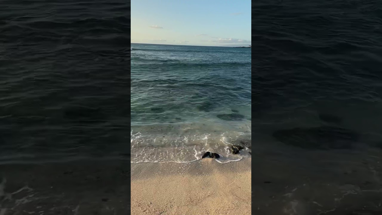 Beautiful ocean