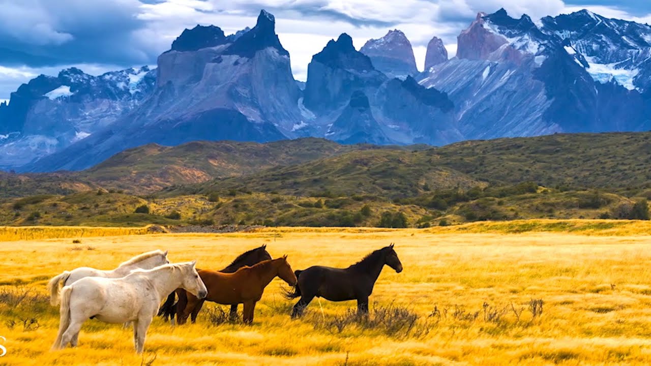 Beautiful Relaxing Music, Peaceful Soothing Instrumental Music, 