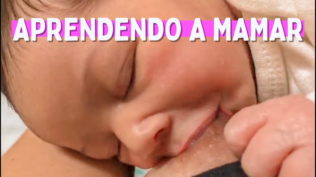 BEBÊ RECÉM NASCIDO MAMANDO PELA PRIMEIRA VEZ #shorts