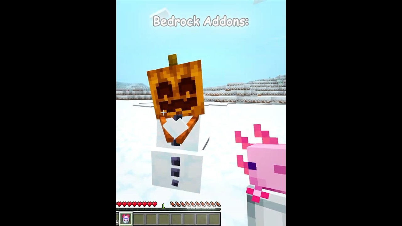Bedrock VS Java Addons 💀