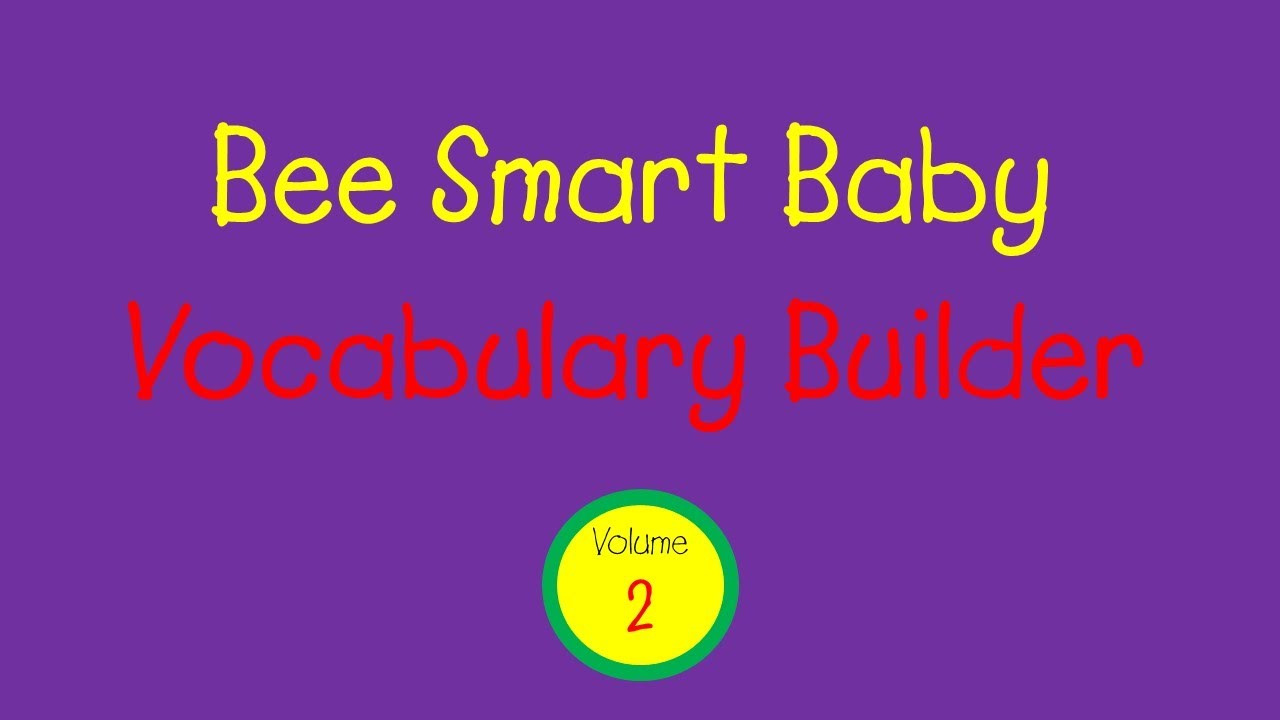 Bee Smart Baby - Vocabulary Builder: Vol. 2 (1999)
