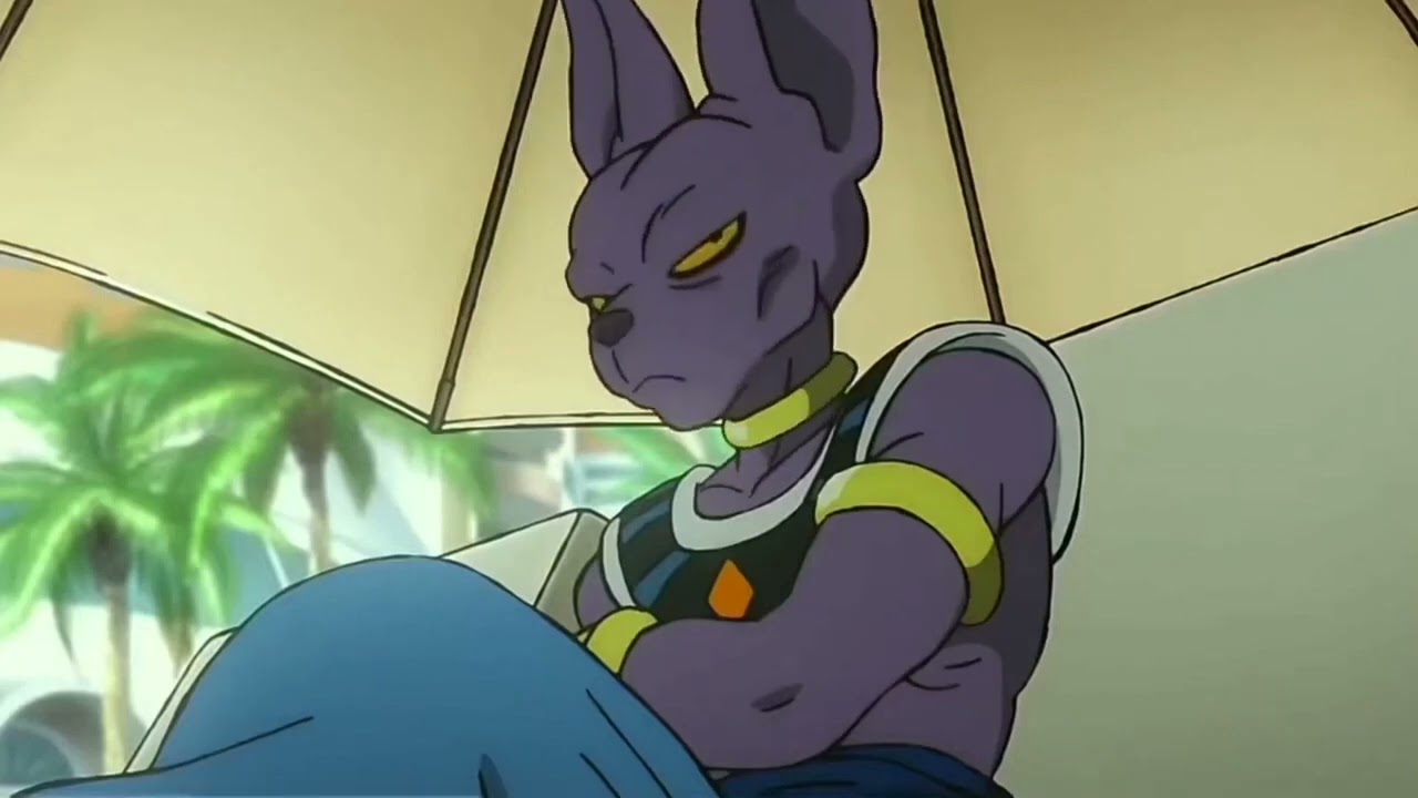 Beerus twixtor