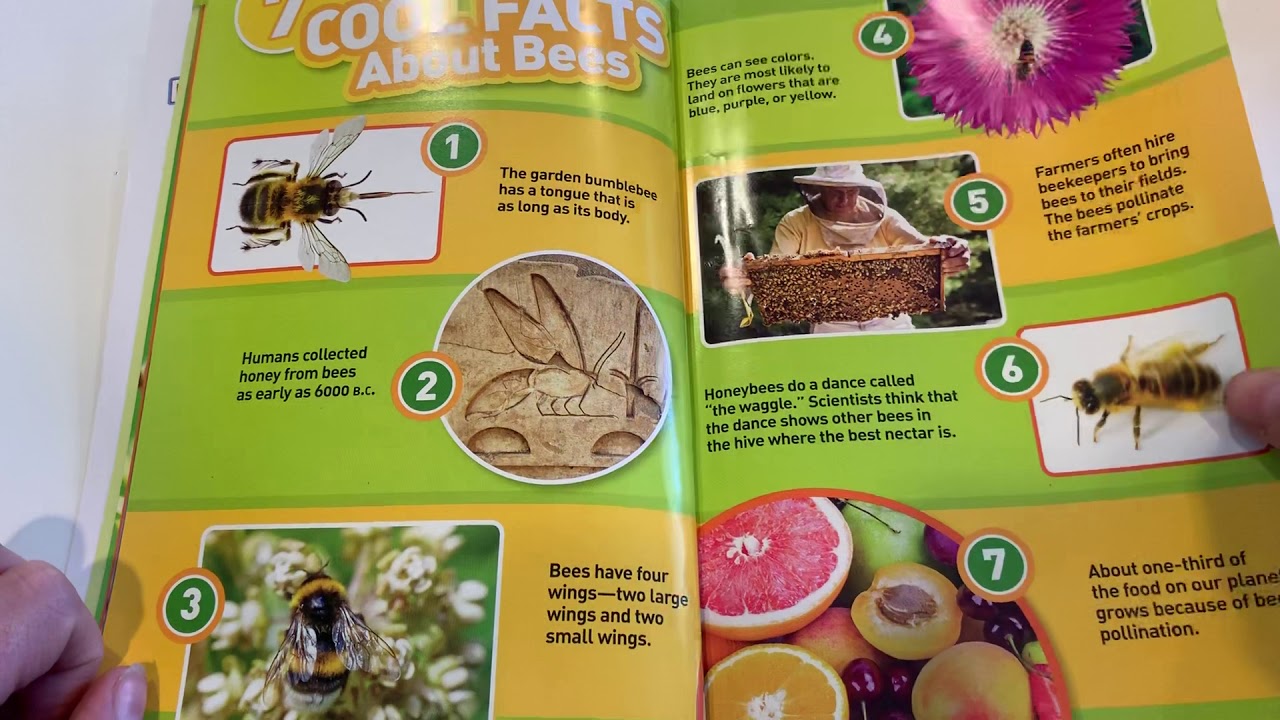 Bees