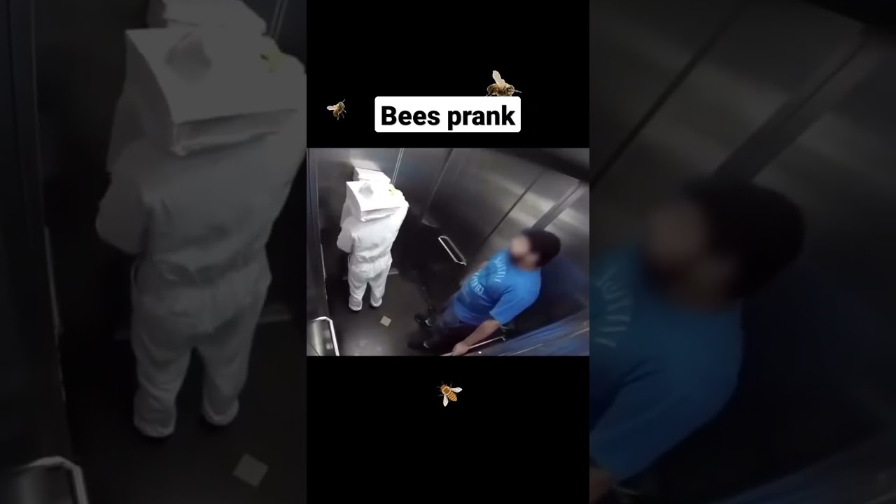 bees prank in the elevator🤣🤣🤣 #chavorgrabbafamily #myvideo #viralvideo #trending #youtube #funny