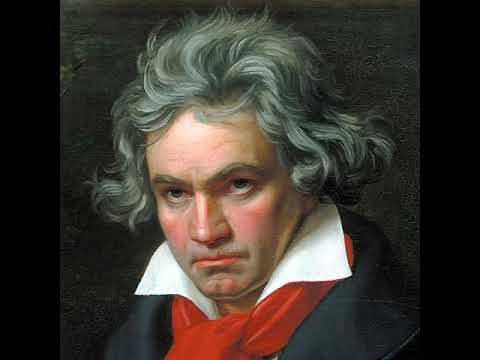 Beethoven - Für Elise Violin Cover
