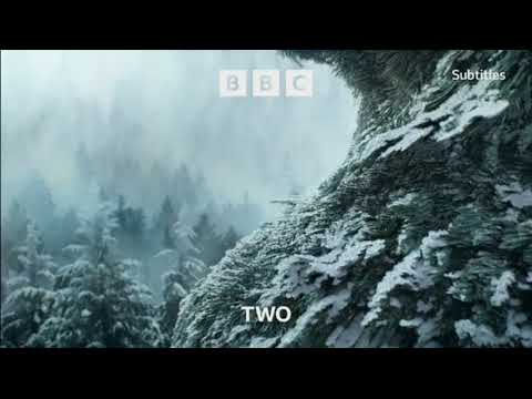 Beetlejuice BBC Two Intro