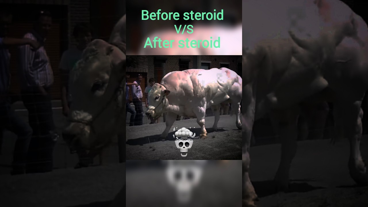 Before steroid vs after steroid×python phonk #viralvideo #youtubeshorts