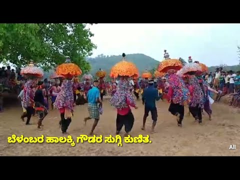 Belambar Halakki Goudara Suggi Kunita.