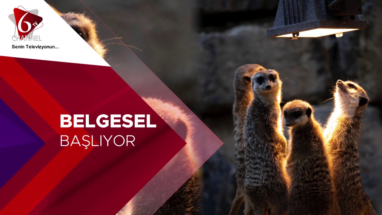 BELGESEL BAŞLIYOR...