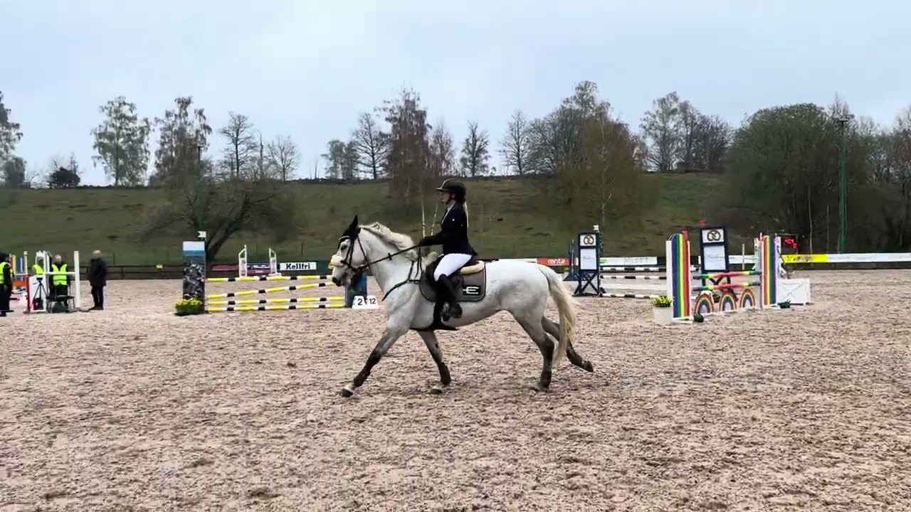 Bellview Princess FOR SALE