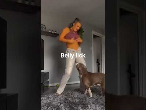 belly lick #shorts