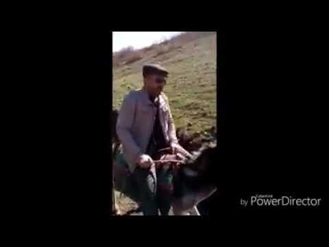 Ben Ertugrul Gazi