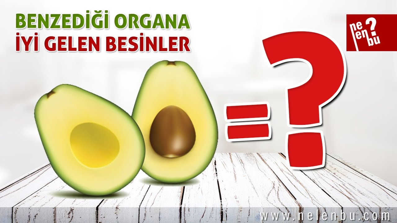 Benzediği Organa İyi Gelen Besinler Nelerdir?