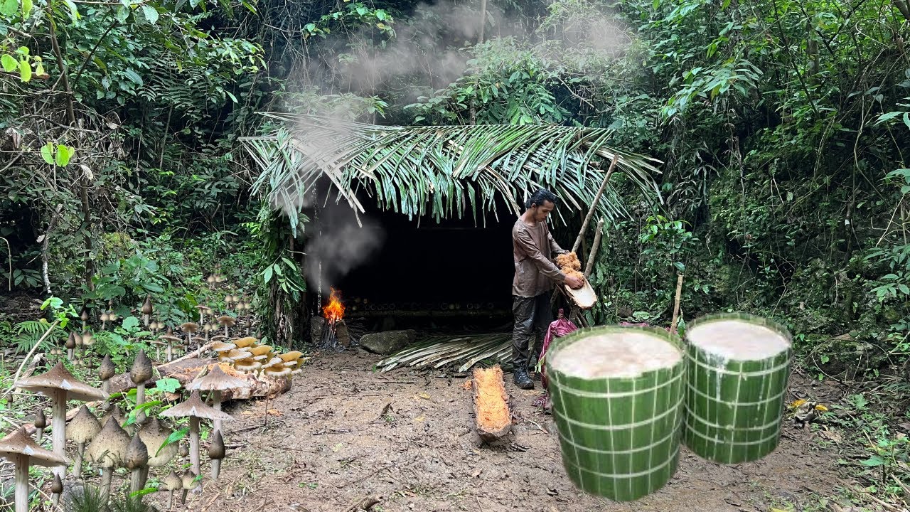 Bertahan hidup selama 100 hari di dalam hutan membuat sagu dan mengolah jamur langka.
