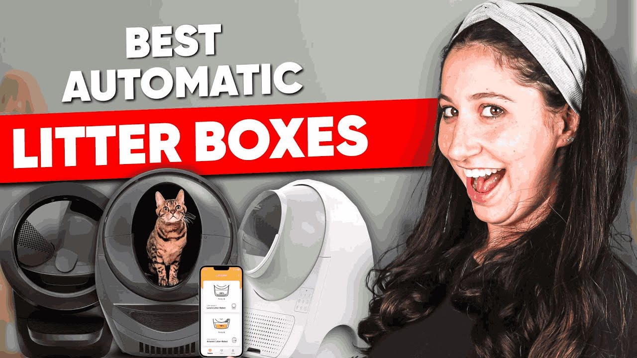 Best Automatic Litter Boxes | Self-Cleaning Solutions for a Smarter Cat Routine
