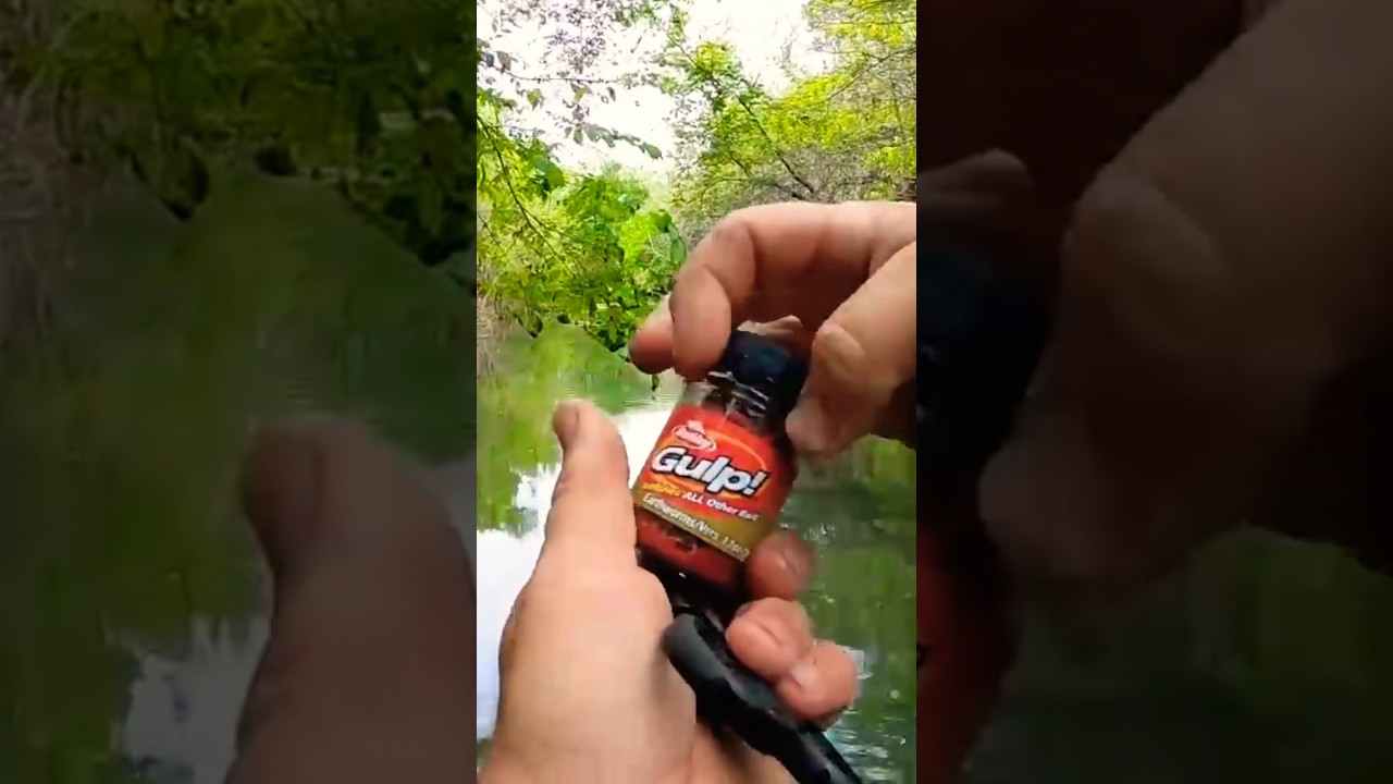 😳Best Bluegill Bait?! 😮
