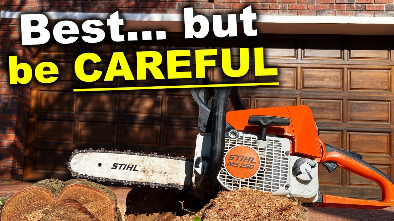 Best Gas Chainsaw? Everything you NEED to know - Stihl MS250 - Review and Testing Burton Builds