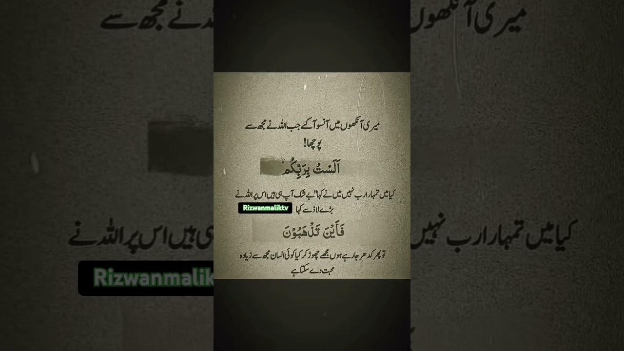 Best Islamic Quotes || Urdu Quotes ||🔥💯🤷#best#islamicstatus #allah#trending#shorts#viralvideo#quotes