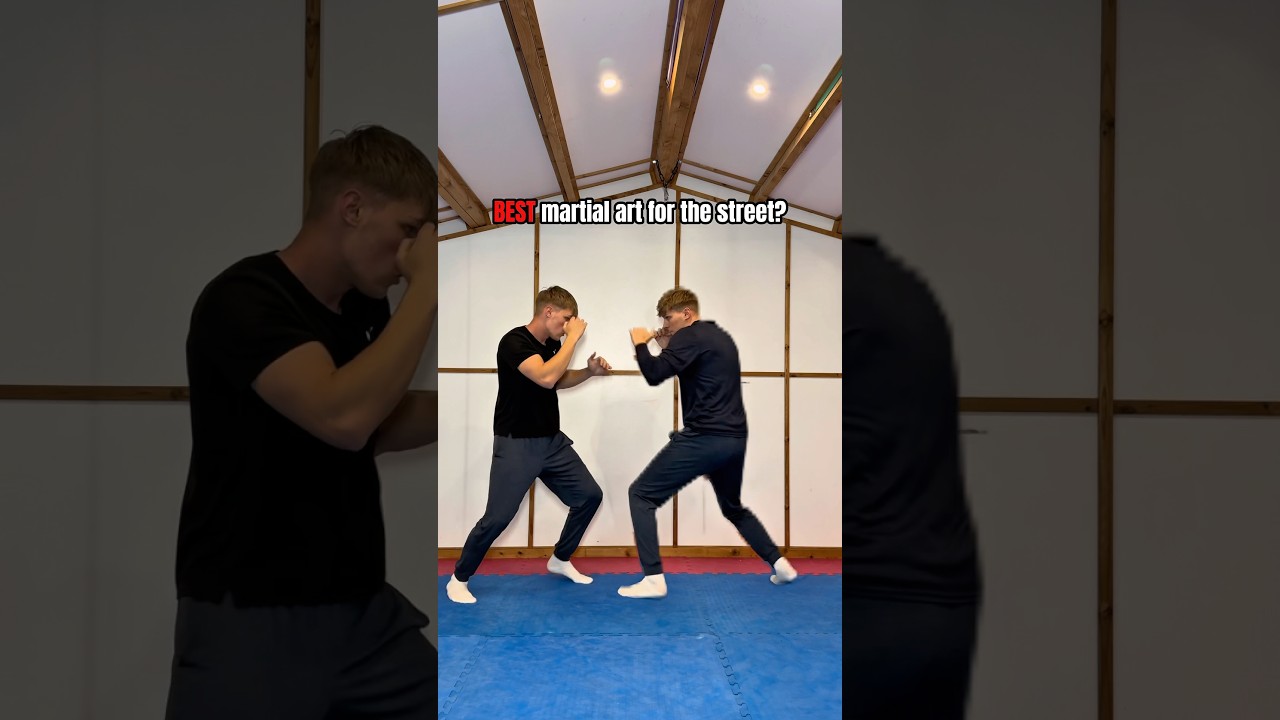 BEST martial art for the street (my opinion)
